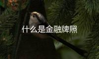 什么是金融牌照