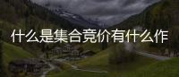 什么是集合競價有什么作用（什么是集合競價）