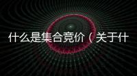 什么是集合競價（關于什么是集合競價的基本情況說明介紹）