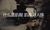什么是肌酸 肌酸對人體有害嗎