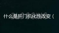 什么是肝門機化性改變（什么是肝門）