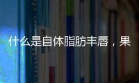 什么是自體脂肪豐唇，果好不好多少錢