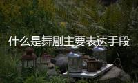 什么是舞劇主要表達(dá)手段的舞臺(tái)藝術(shù)（什么是舞劇）