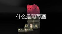 什么是葡萄酒