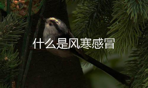 什么是風寒感冒