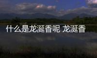 什么是龍涎香呢 龍涎香有什么作用呢