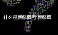 什么是麒麟草呢 麒麟草有什么作用呢