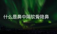 什么是鼻中隔軟骨隆鼻 鼻中隔軟骨隆鼻多久恢復