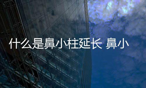 什么是鼻小柱延長 鼻小柱可以延長嗎