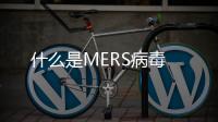 什么是MERS病毒