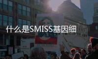 什么是SMISS基因細胞？【健康】風尚中國網