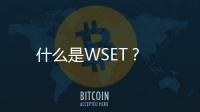 什么是WSET？