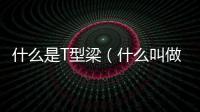 什么是T型梁（什么叫做T型梁）
