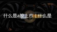 什么是a股上市（什么是a股）