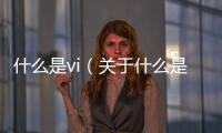 什么是vi（關于什么是vi的基本情況說明介紹）