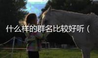 什么樣的群名比較好聽（什么群名好聽簡單）