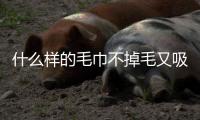 什么樣的毛巾不掉毛又吸水？如何挑選優質毛巾？