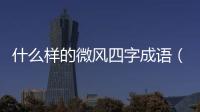 什么樣的微風(fēng)四字成語（什么樣的微風(fēng)）