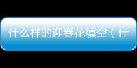 什么樣的迎春花填空（什么的迎春花填空顏色）