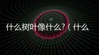 什么樹葉像什么?（什么樹葉像什么）