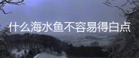 什么海水魚不容易得白點(diǎn)病呢？什么海水魚不容易白點(diǎn)病