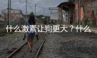 什么激素讓狗更大？什么藥會讓狗狗發(fā)瘋