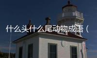 什么頭什么尾動物成語（物成語）