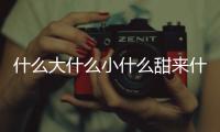 什么大什么小什么甜來什么苦說一句話（什么大什么小）
