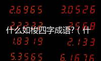 什么如梭四字成語?（什么如梭四字成語）