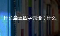什么當道四字詞語（什么當道）