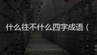 什么往不什么四字成語（什么往不什么）
