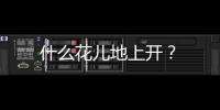 什么花兒地上開？