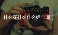什么花什么什么組個詞（什么花什么什么）