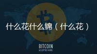 什么花什么錦（什么花）