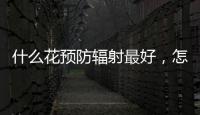 什么花預防輻射最好，怎樣有效防輻射盤點什么花防輻射最好