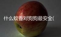 什么蚊香對狗狗最安全(什么網(wǎng)站可以賣狗狗)