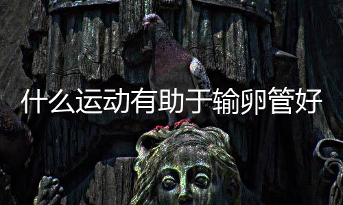 什么運動有助于輸卵管好