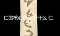 仁的核心內涵是什么 仁的核心內容指什么