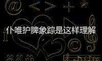 仆唯護脾象蹤是這樣理解嗎?