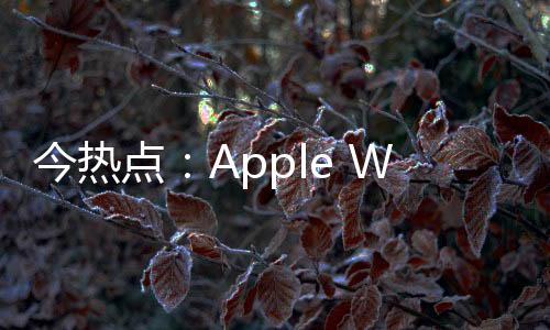 今熱點：Apple Watch Ultra的潛水能力有多強？實測證明可超出官方標稱值