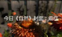 今日《自然》封面：癌癥研究取得重要突破！