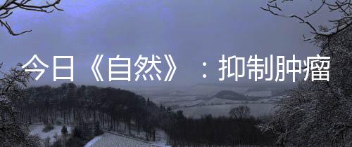 今日《自然》：抑制腫瘤生長 華人團隊做出新發現