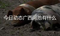 今日動態廣西河池有什么蛇以及廣西河池有甲魚嗎的情況分析