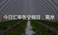 今日匯率備受矚目，離岸人民幣觸及7.0關口