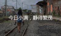 今日小滿，靜待繁茂