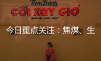 今日重點關注：焦煤、生豬、硅、氧化鋁、尿素