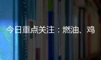 今日重點關注：燃油、雞蛋、玉米、瀝青、滬鎳