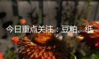 今日重點關注：豆粕、紙漿。貴金屬近期或維持震蕩格局