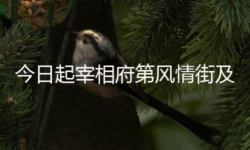 今日起宰相府第風(fēng)情街及潮韻街北段區(qū)塊封閉維修