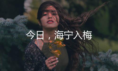 今日，海寧入梅